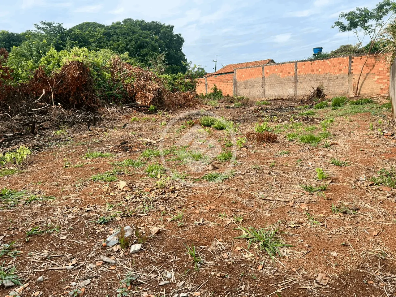 Imagem 4 - Terreno em Cardoso Continuação, Aparecida de Goiânia - GO