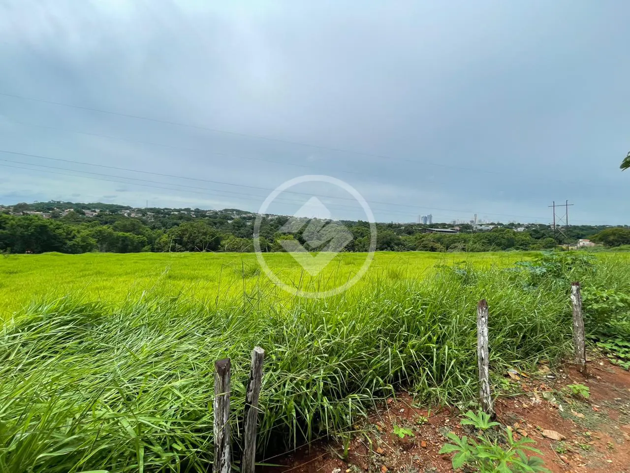 Imagem 3 - Terreno em JARDIM NOVO MUNDO, Goiânia - GO