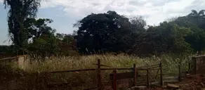 Terreno Recanto das Palmeiras, Ribeirão Preto - SP — foto 2