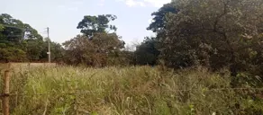 Imagem 2 - Terreno em Recanto das Palmeiras, Ribeirão Preto - SP