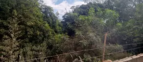 Imagem 3 - Terreno em Recanto das Palmeiras, Ribeirão Preto - SP