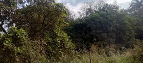 Imagem 4 - Terreno em Recanto das Palmeiras, Ribeirão Preto - SP