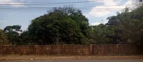 Imagem 6 - Terreno em Recanto das Palmeiras, Ribeirão Preto - SP