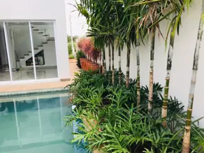 Imagem 3 - Casa Condomínio em Vivendas da Mata, Ribeirão Preto - SP