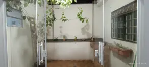 Casa Campos Elísios, Ribeirão Preto - SP — foto 2