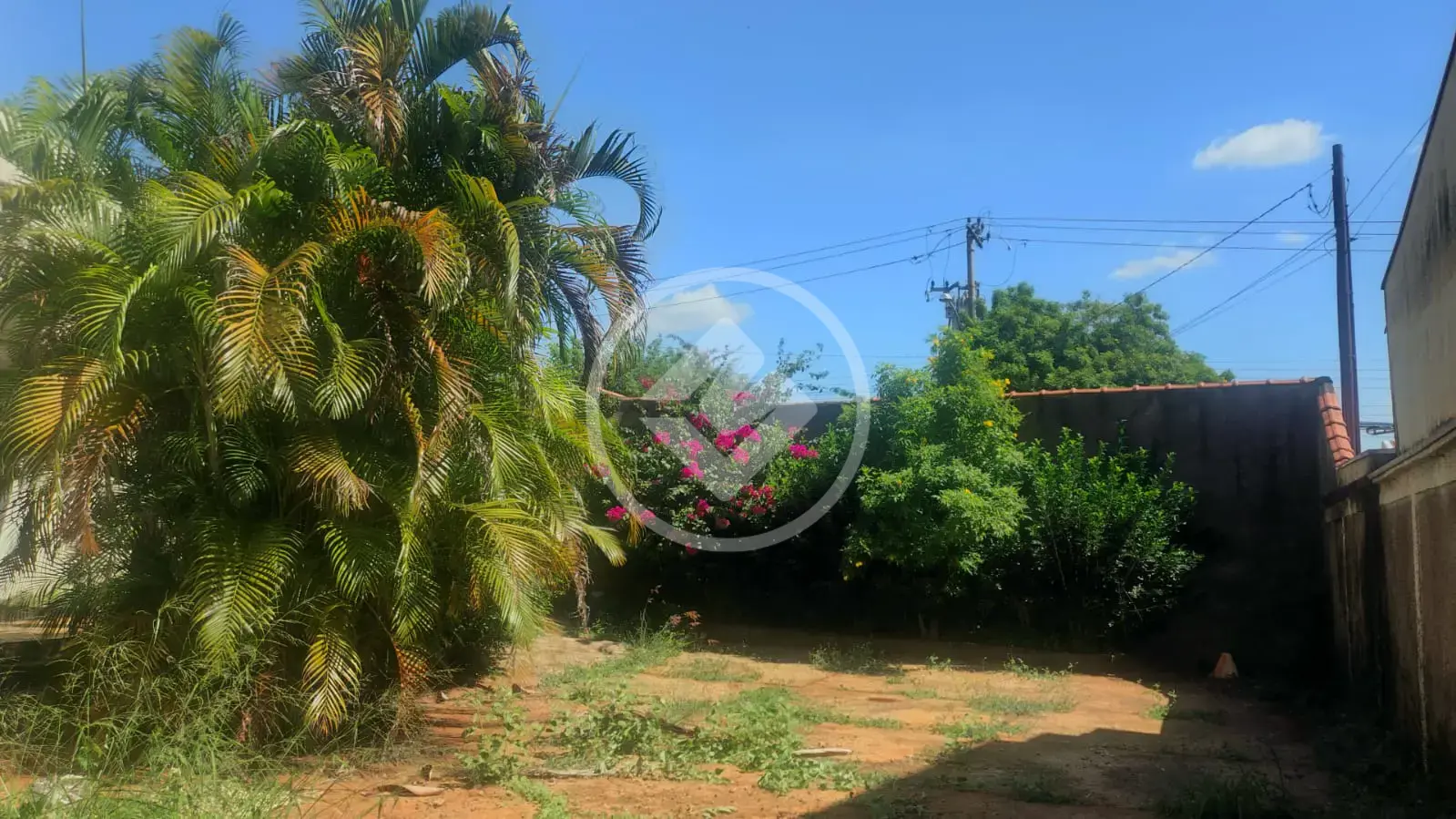 Imagem 1 - Terreno em Jardim Califórnia, Ribeirão Preto - SP