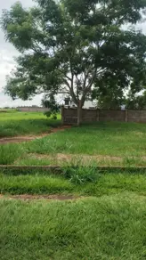 Imagem 2 - Terreno Comercial em Recreio das Acacias, Ribeirão Preto - SP