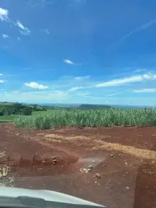 Fazenda Centro, Jardinópolis - SP — foto 2