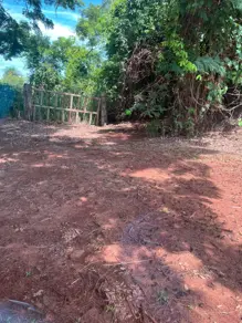 Imagem 2 - Fazenda em Centro, Jardinópolis - SP