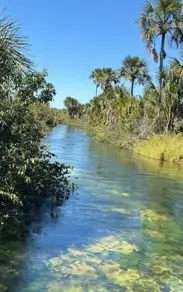 Imagem 4 - Fazenda em Ondina, Salvador - BA