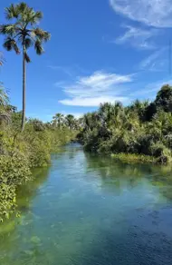 Fazenda Ondina, Salvador - BA — foto 2