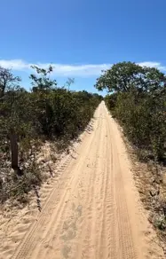 Imagem 2 - Fazenda em Ondina, Salvador - BA