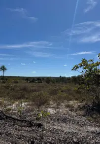 Imagem 5 - Fazenda em Ondina, Salvador - BA