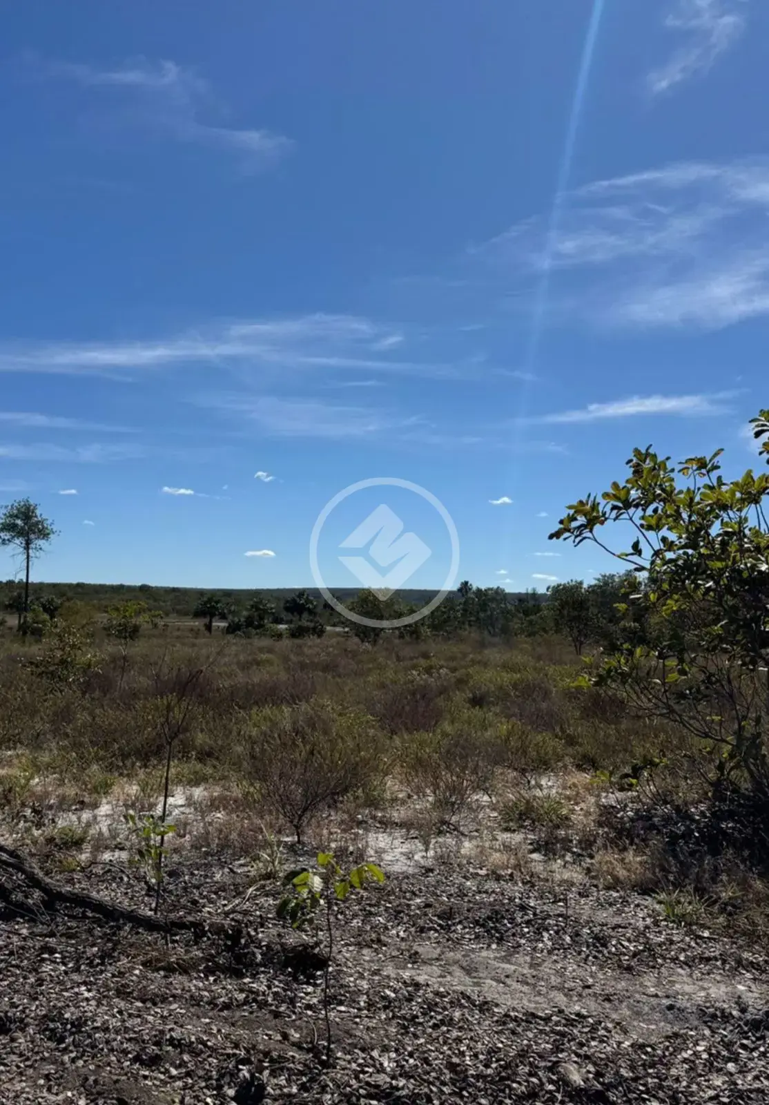 Imagem 5 - Fazenda em Ondina, Salvador - BA