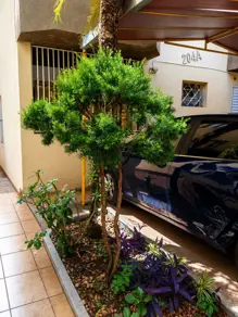 Apartamento Vila Monte Alegre, Ribeirão Preto - SP — foto 2
