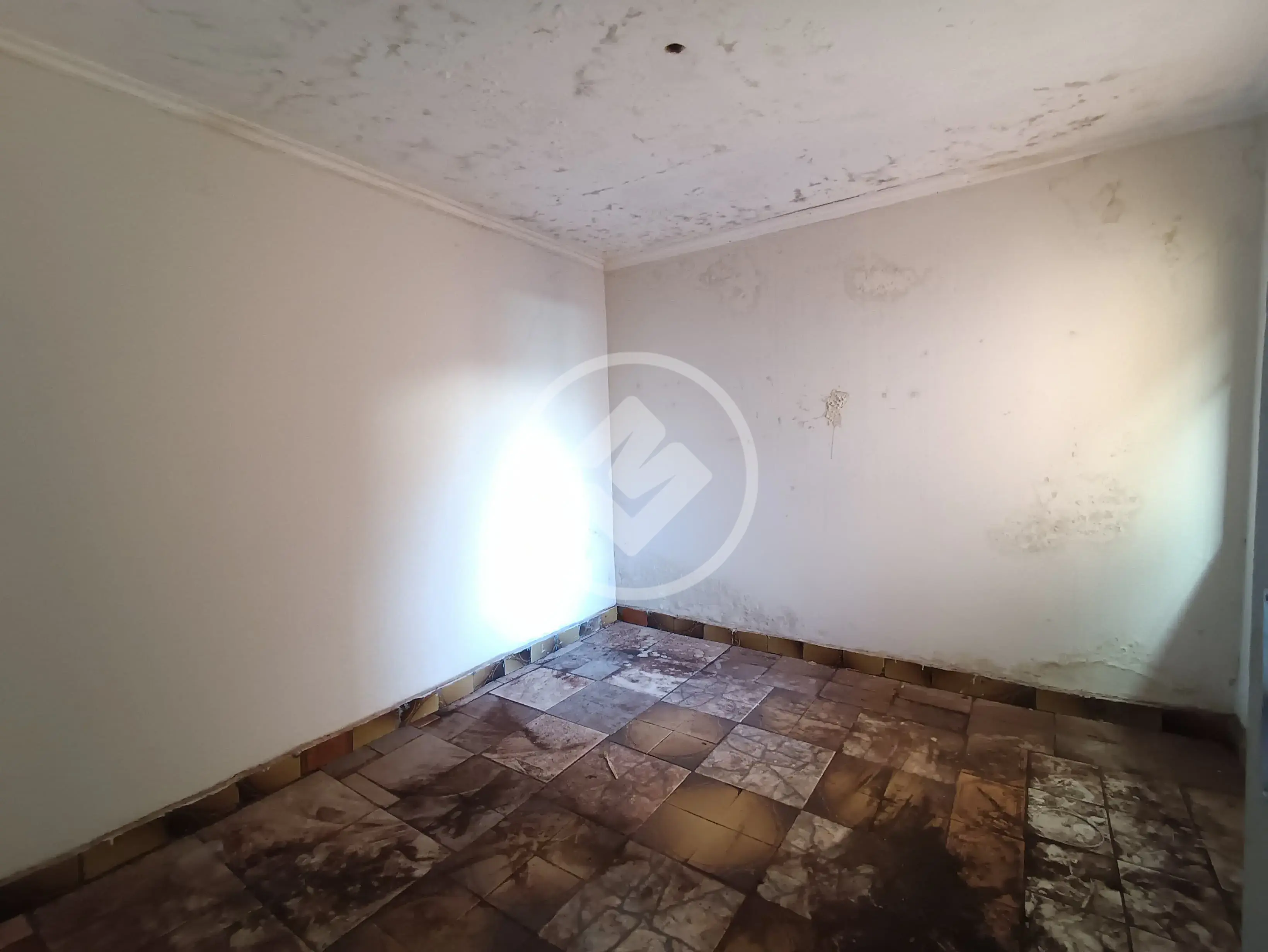 Imagem 1 - Casa Comercial em Jardim Paulista, Ribeirão Preto - SP