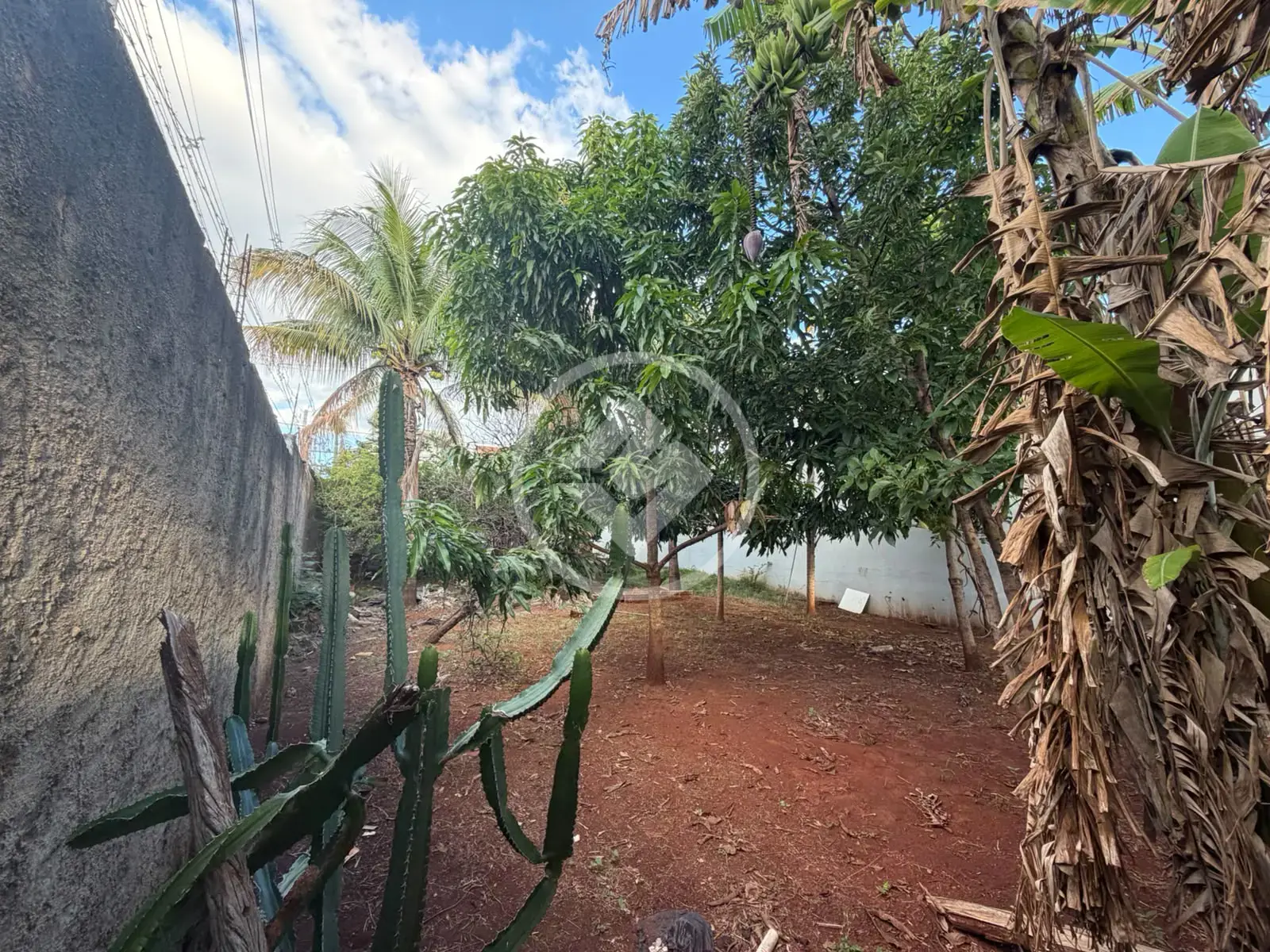 Imagem 1 - Terreno em Residencial Florida, Ribeirão Preto - SP