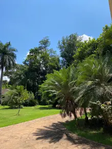 Imagem 6 - Casa Condomínio em Parque São Sebastião, Ribeirão Preto - SP
