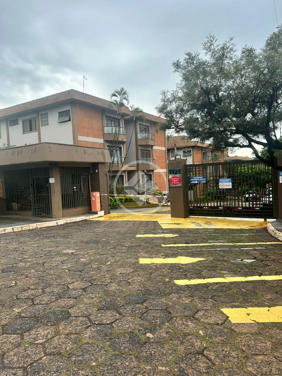 Imagem 1 - Apartamento em Jardim Paulistano, Ribeirão Preto - SP