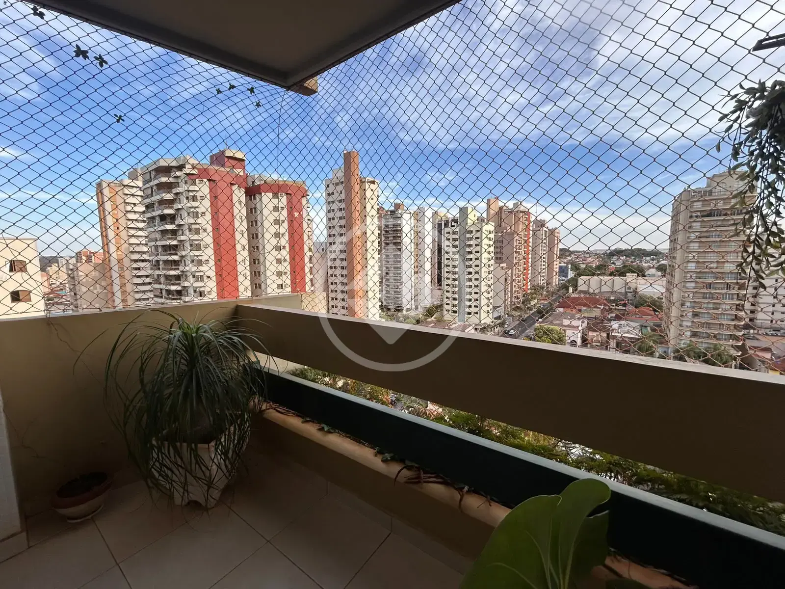 Imagem 1 - Apartamento em Vila Seixas, Ribeirão Preto - SP