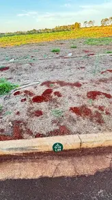 Terreno Comercial Real Sul, Ribeirão Preto - SP — foto 2