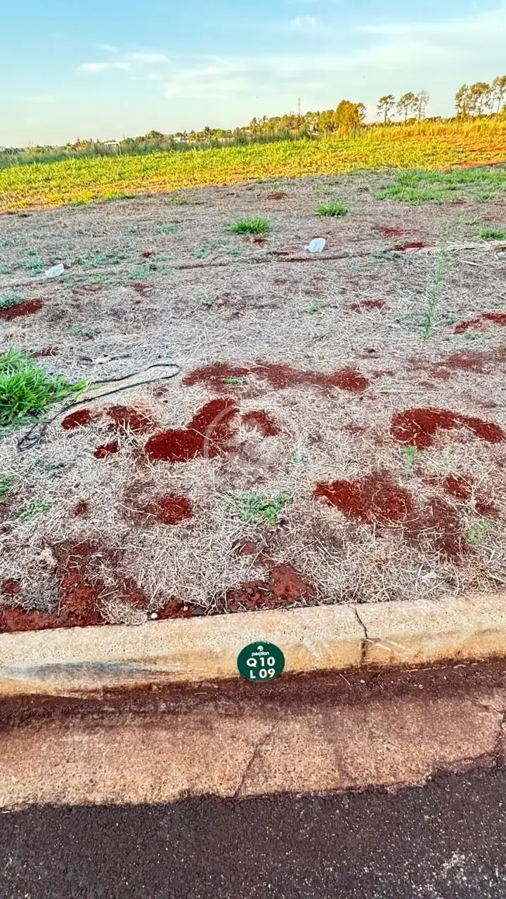 Image 2 - Terreno Comercial em Real Sul, Ribeirão Preto - SP
