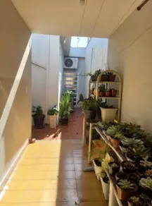 Casa Campos Elísios, Ribeirão Preto - SP — foto 2