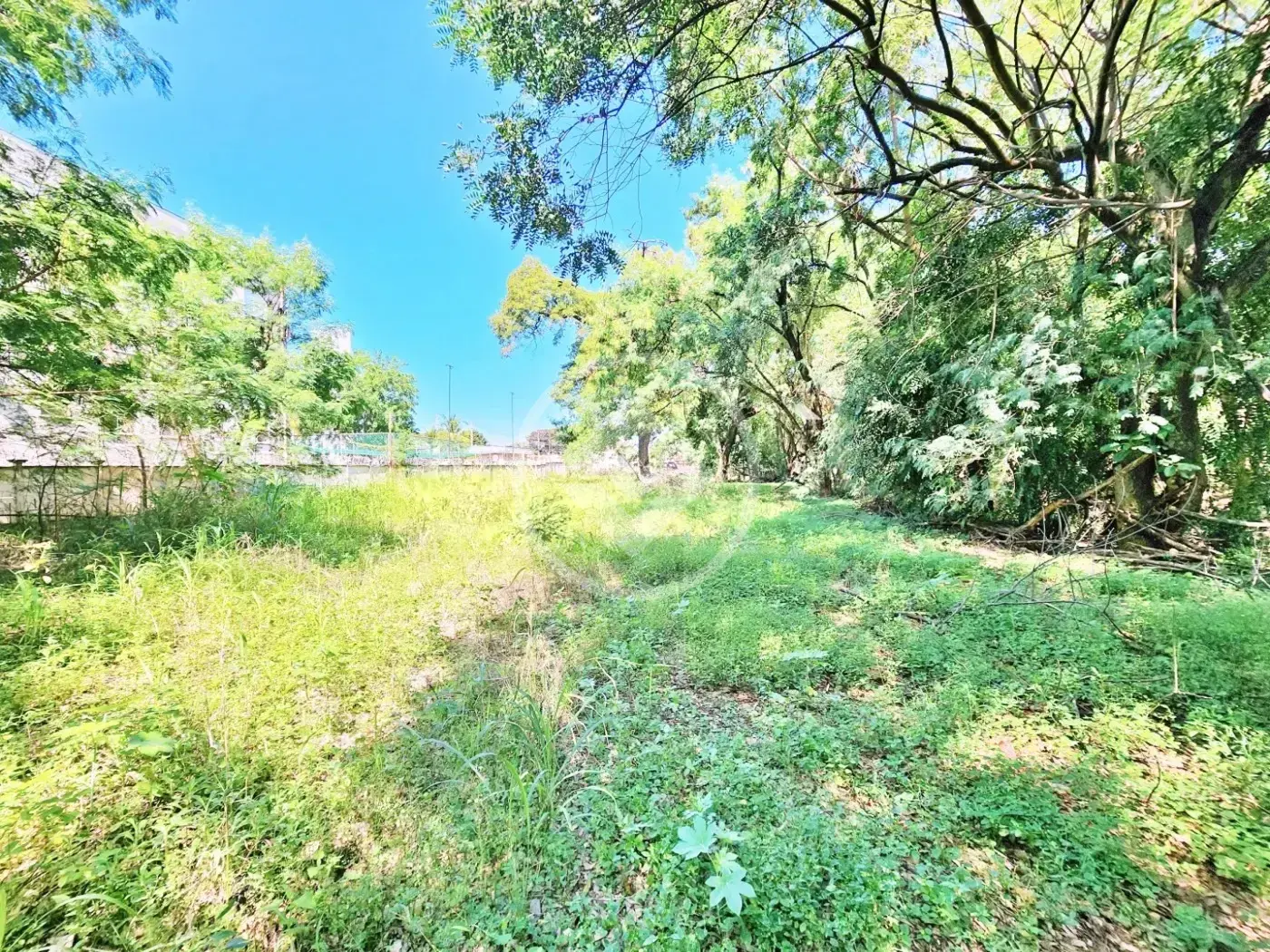 Imagem 1 - Terreno em Valentina Figueiredo, Ribeirão Preto - SP