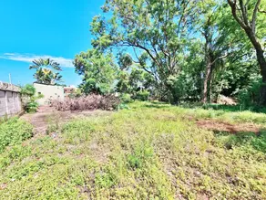 Imagem 4 - Terreno em Valentina Figueiredo, Ribeirão Preto - SP