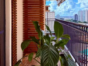 Imagem 5 - Apartamento em Nova Aliança, Ribeirão Preto - SP