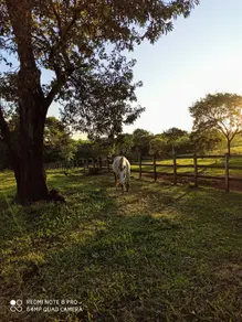 Imagem 5 - Fazenda em Zona Rural, Cajuru - SP