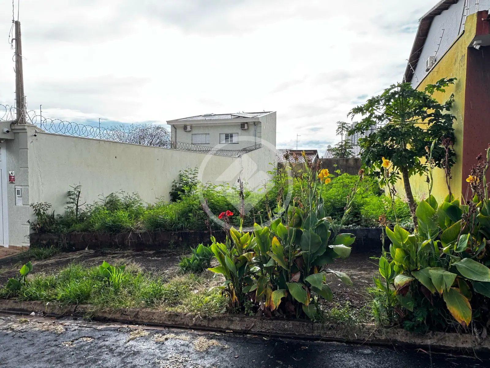 Terreno ALTO DA BOA VISTA, Ribeirão Preto - SP — foto 2