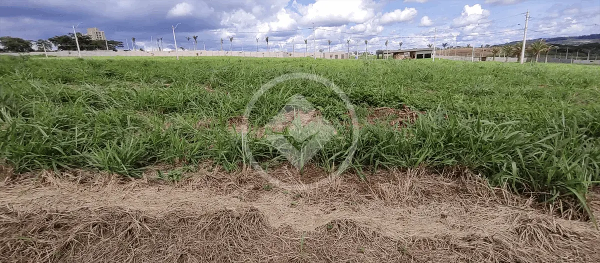 Terreno Condomínio Quinta da Primavera, Ribeirão Preto - SP — foto 1