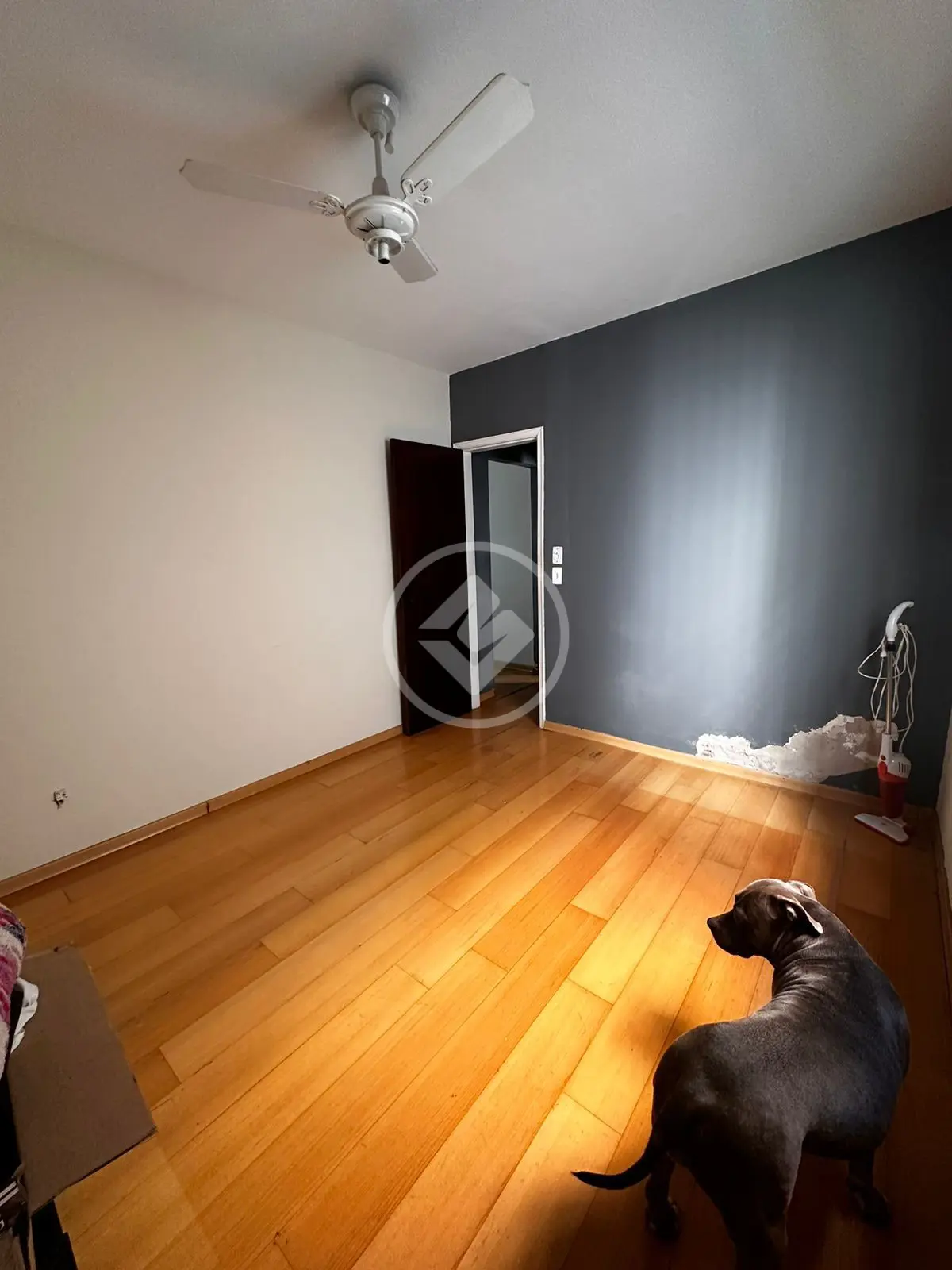 Imagem 6 - Apartamento em Residencial e Comercial Palmares, Ribeirão Preto - SP