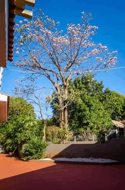 Imagem 4 - Casa em Jardim Botânico, Ribeirão Preto - SP