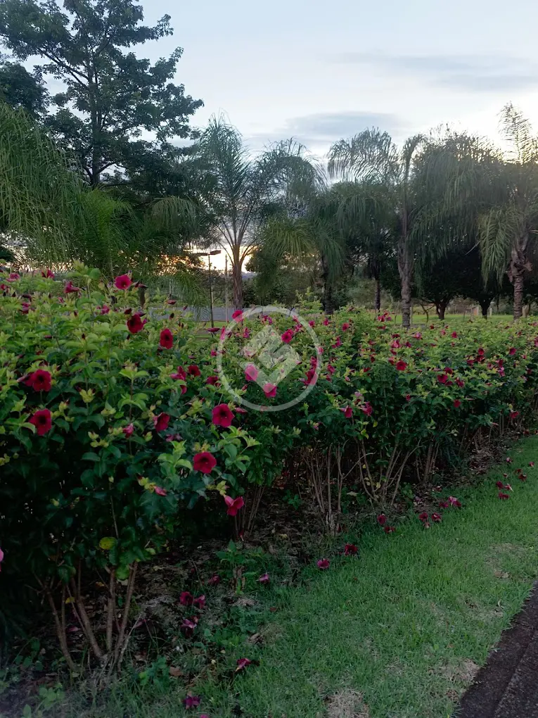 Terreno Condomínio Distrito de Bonfim Paulista, Ribeirão Preto - SP — foto 2