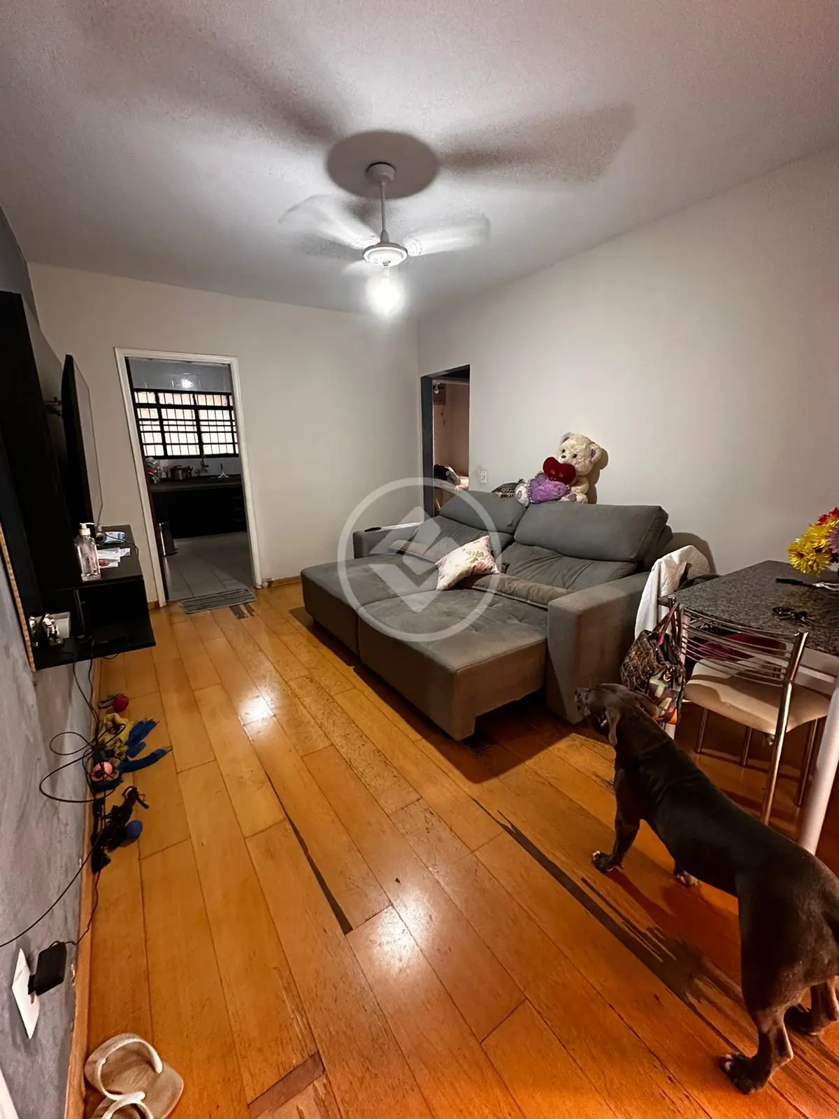 Apartamento Residencial e Comercial Palmares, Ribeirão Preto - SP — foto 2