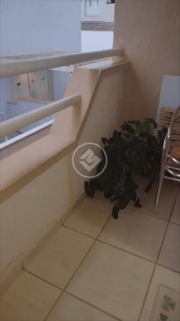 Imagem 4 - Apartamento em Vila Ana Maria, Ribeirão Preto - SP
