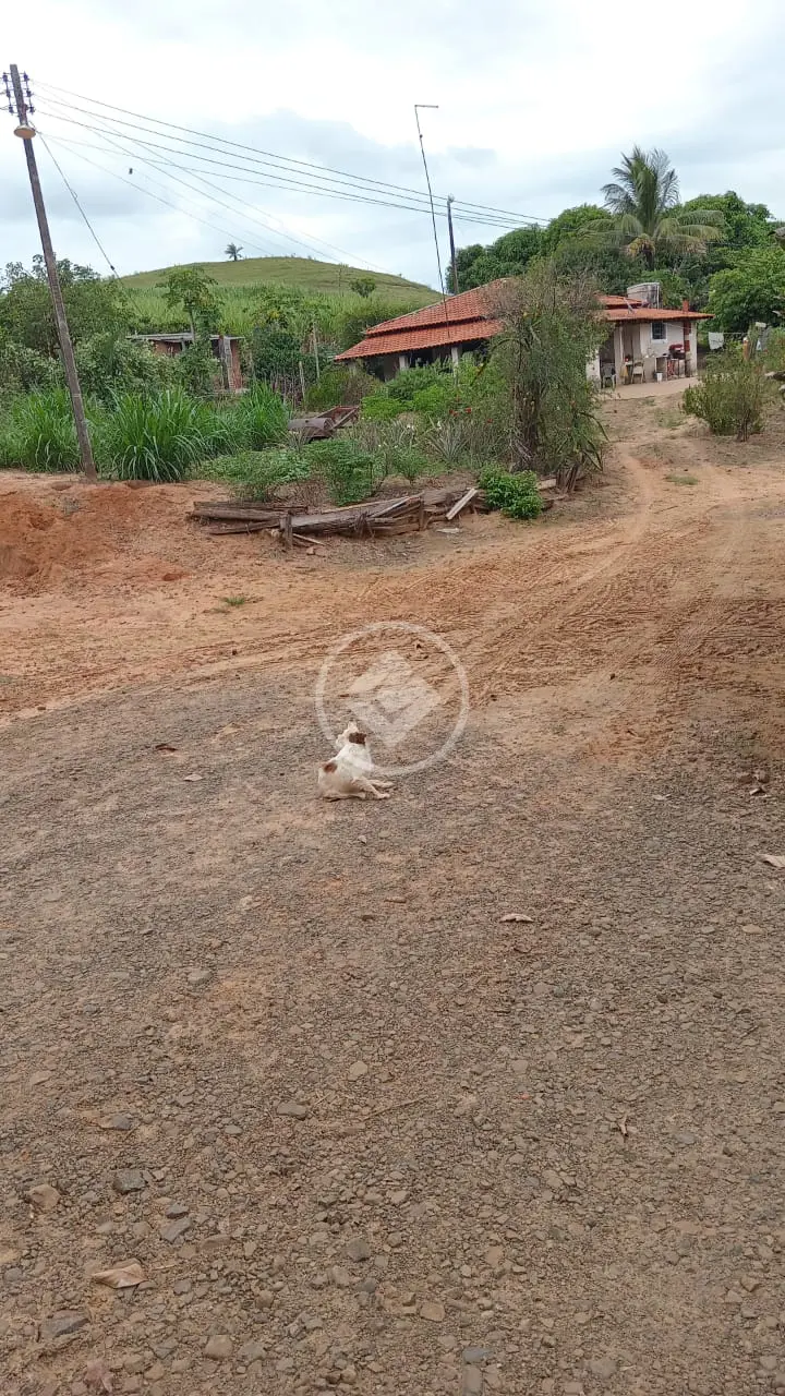 Imagem 2 - Sítio em Centro, Santa Rita do Passa Quatro - SP