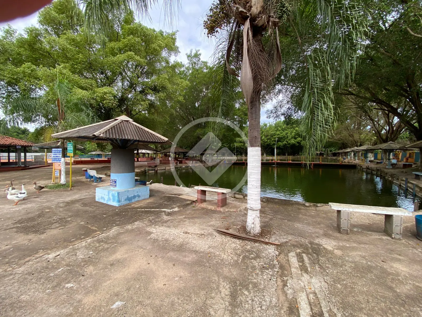 Terreno Comercial Jardim Aeroporto, Ribeirão Preto - SP — foto 1