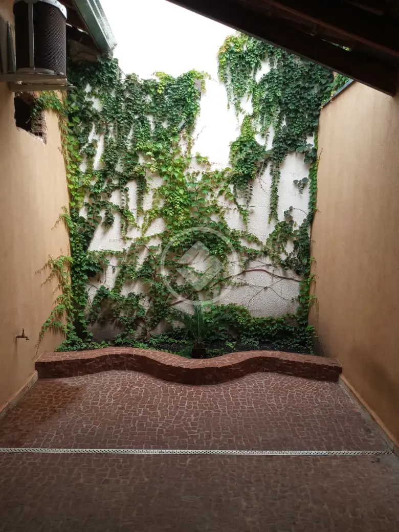 Imagem 2 - Casa em Vila Albertina, Ribeirão Preto - SP