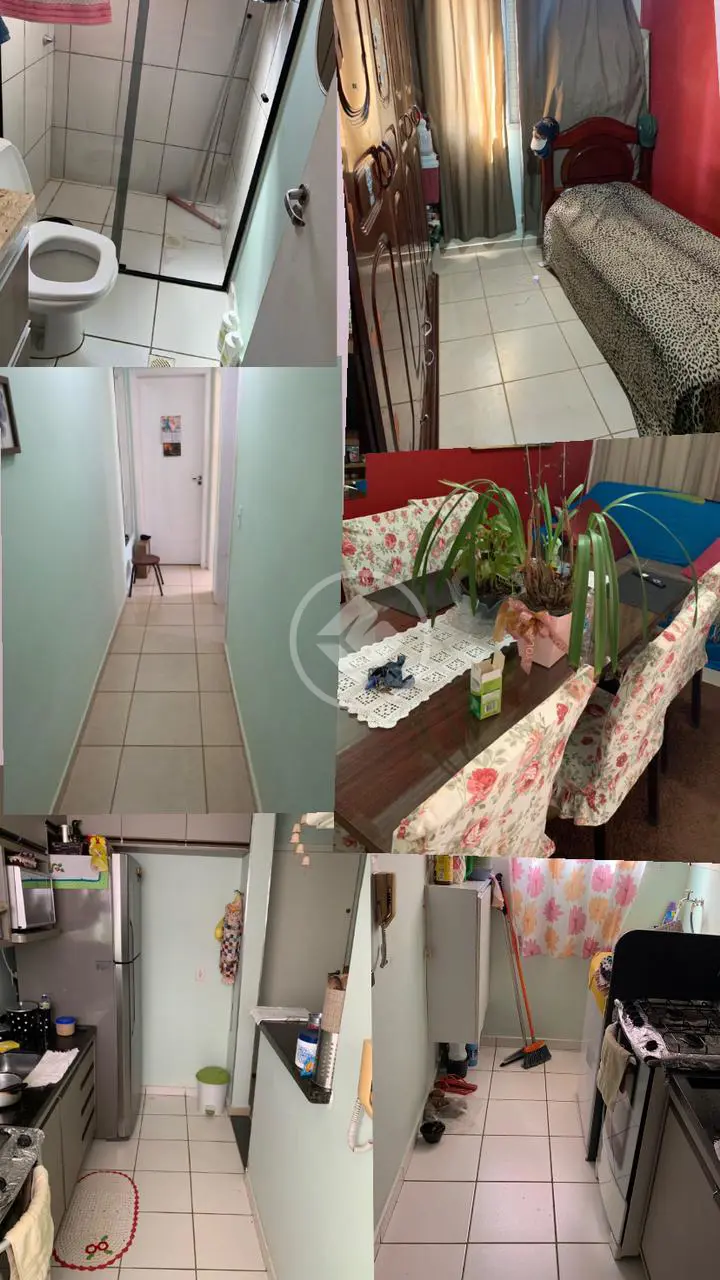 Image 20 - Apartamento em Jardim Marchesi, Ribeirão Preto - SP
