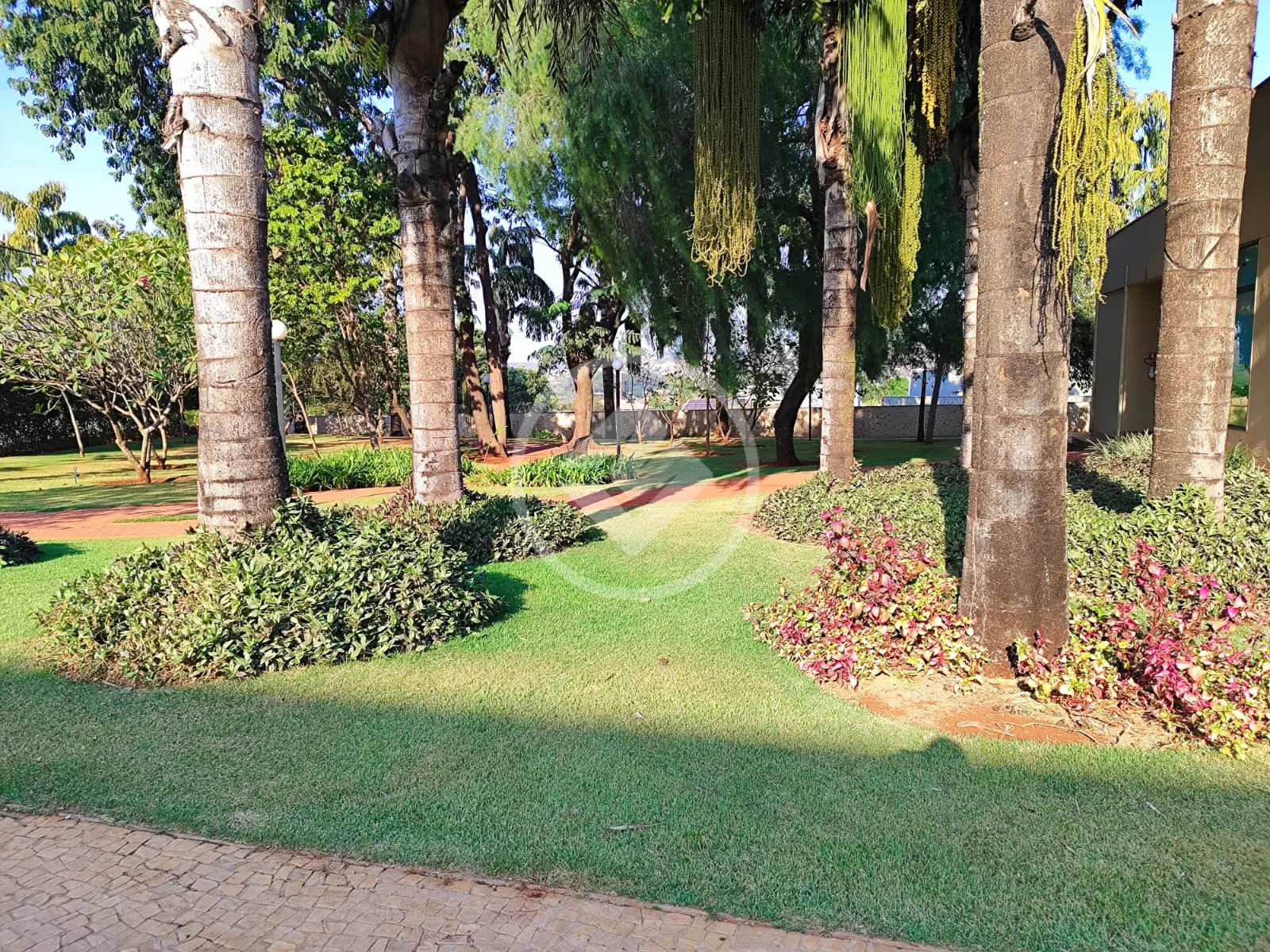 Imagem 3 - Casa em Vila do Golfe, Ribeirão Preto - SP