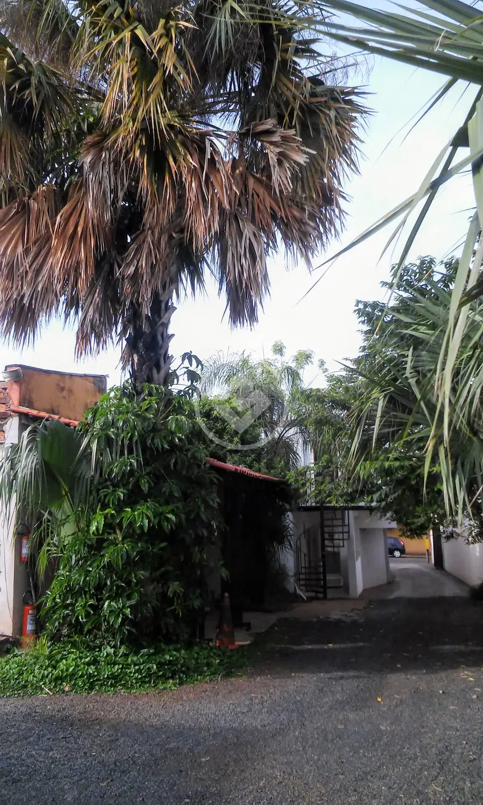 Sobrado Jardim Sumaré, Ribeirão Preto - SP — foto 1