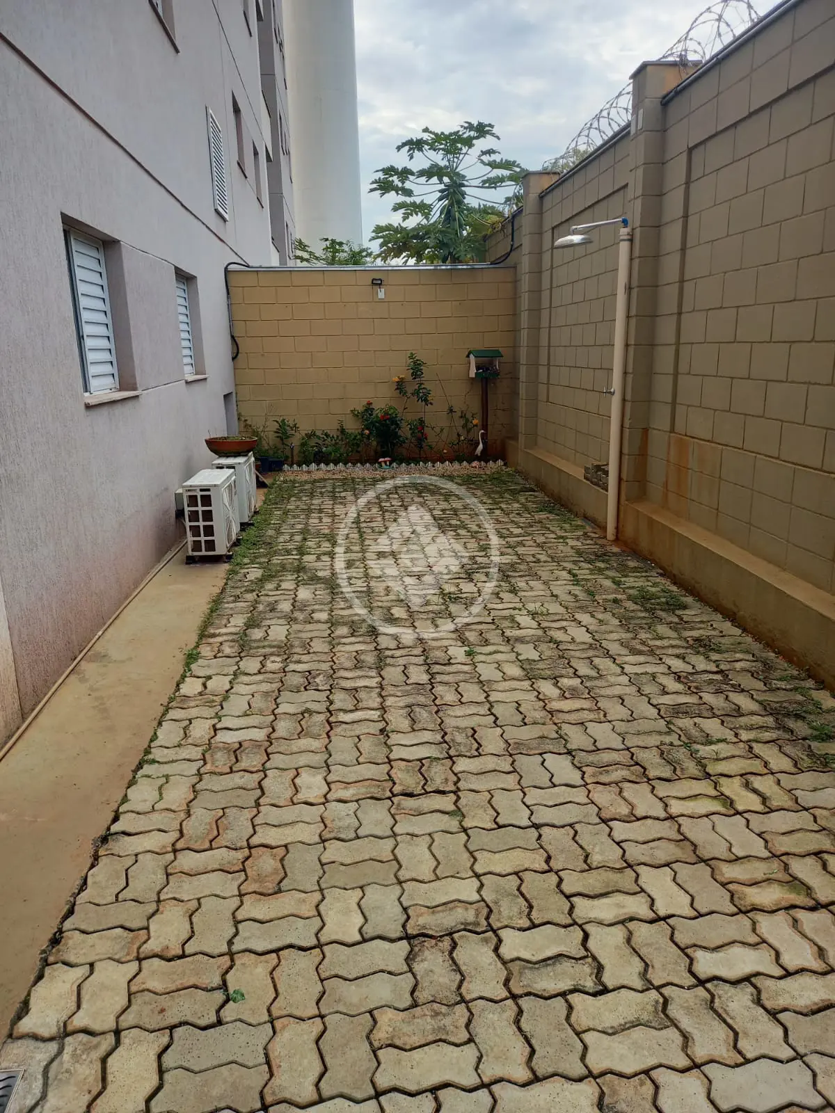 Imagem 4 - Apartamento Garden em Jardim Manoel Penna, Ribeirão Preto - SP
