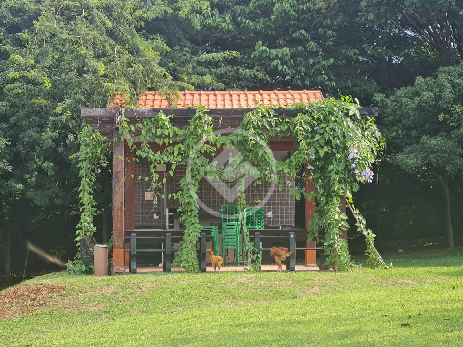 Imagem 3 - Sobrado Em Condomínio em Jardim Reserva Imperial, Ribeirão Preto - SP