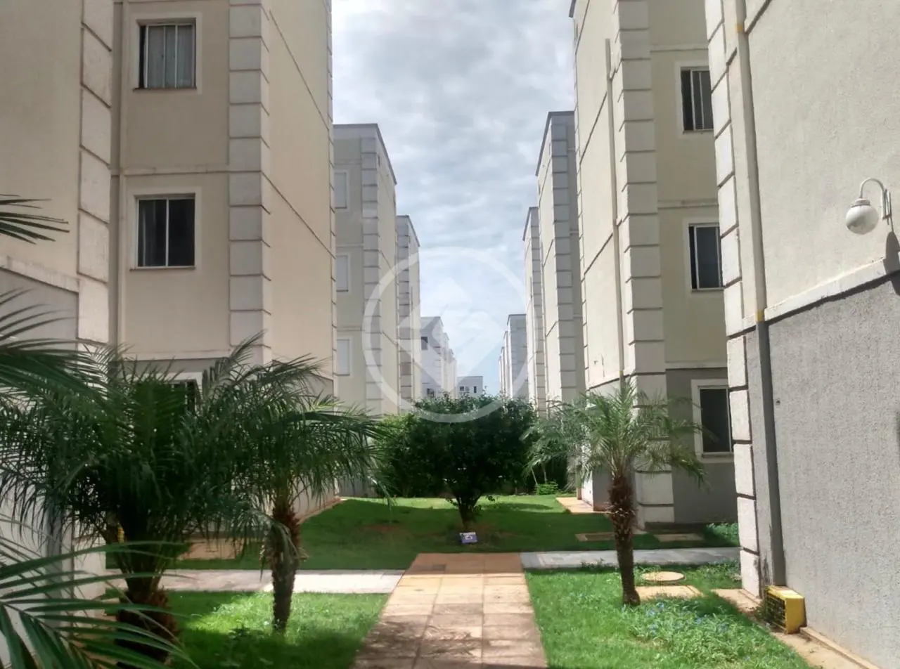 Imagem 6 - Apartamento em Conjunto Habitacional Sílvio Passalacqua, Ribeirão Preto - SP