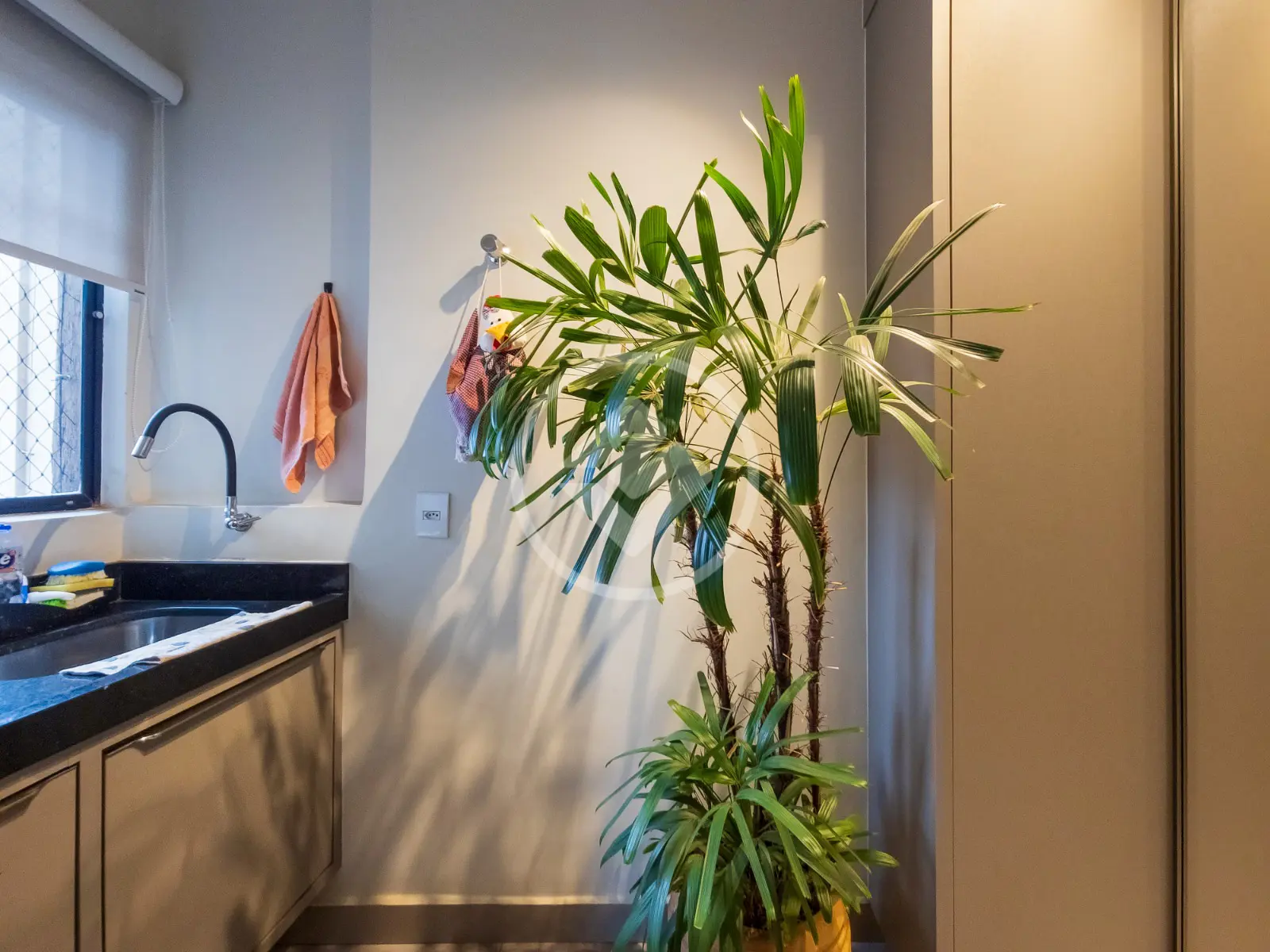 Imagem 5 - Apartamento em CENTRO, Ribeirão Preto - SP
