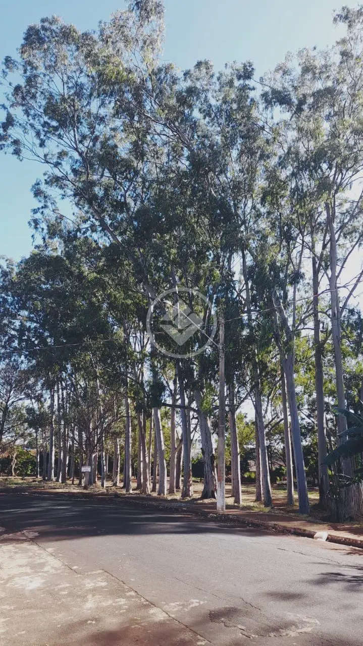 Imagem 3 - Casa em Dom Bernardo José Mielle, Ribeirão Preto - SP