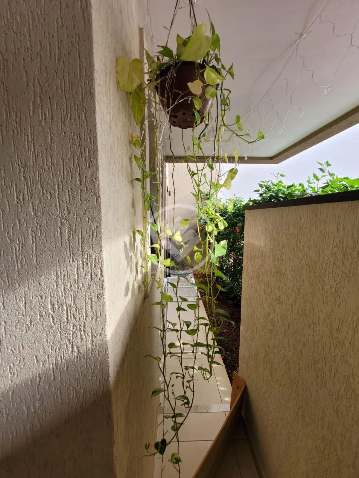 Imagem 4 - Apartamento em Jardim Botânico, Ribeirão Preto - SP